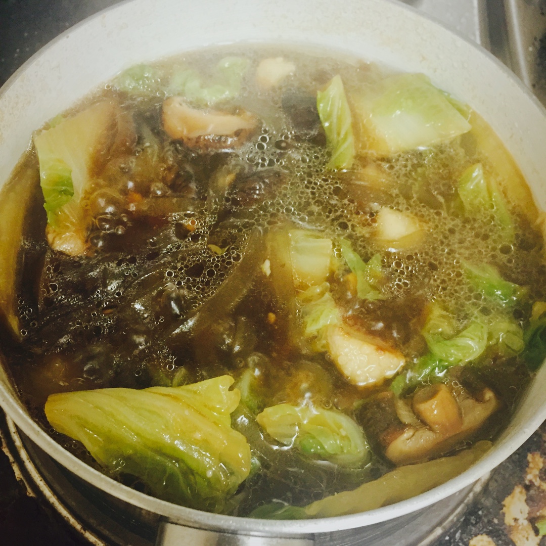 猪肉白菜炖粉条