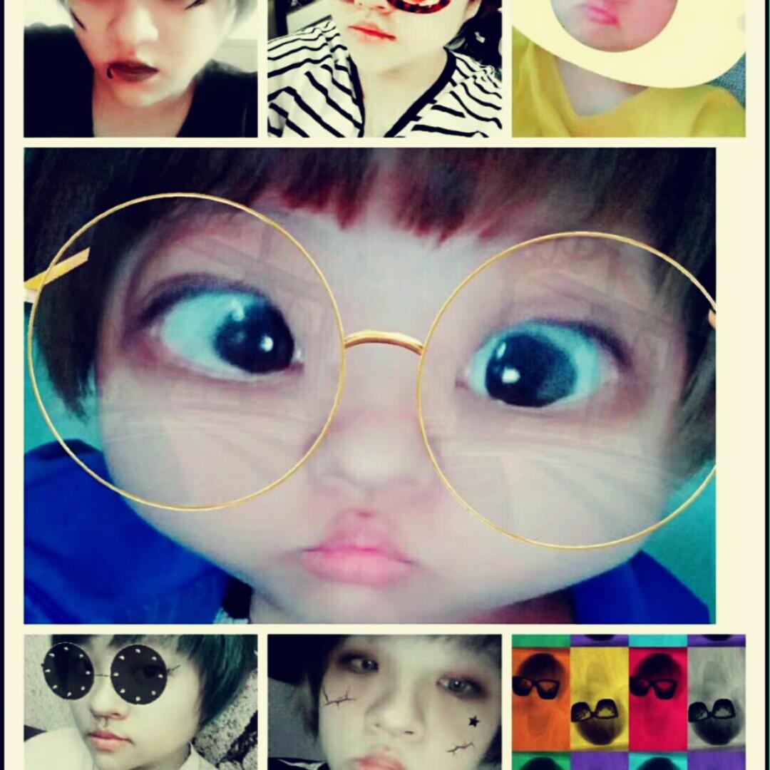 巴黎不懂向日葵执著