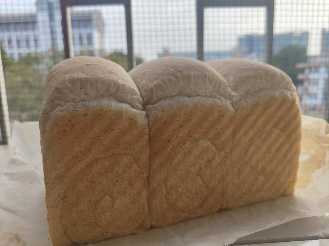 波兰种早餐白吐司