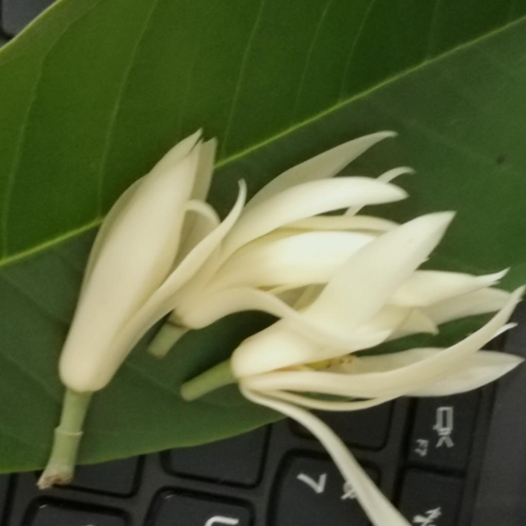环游记