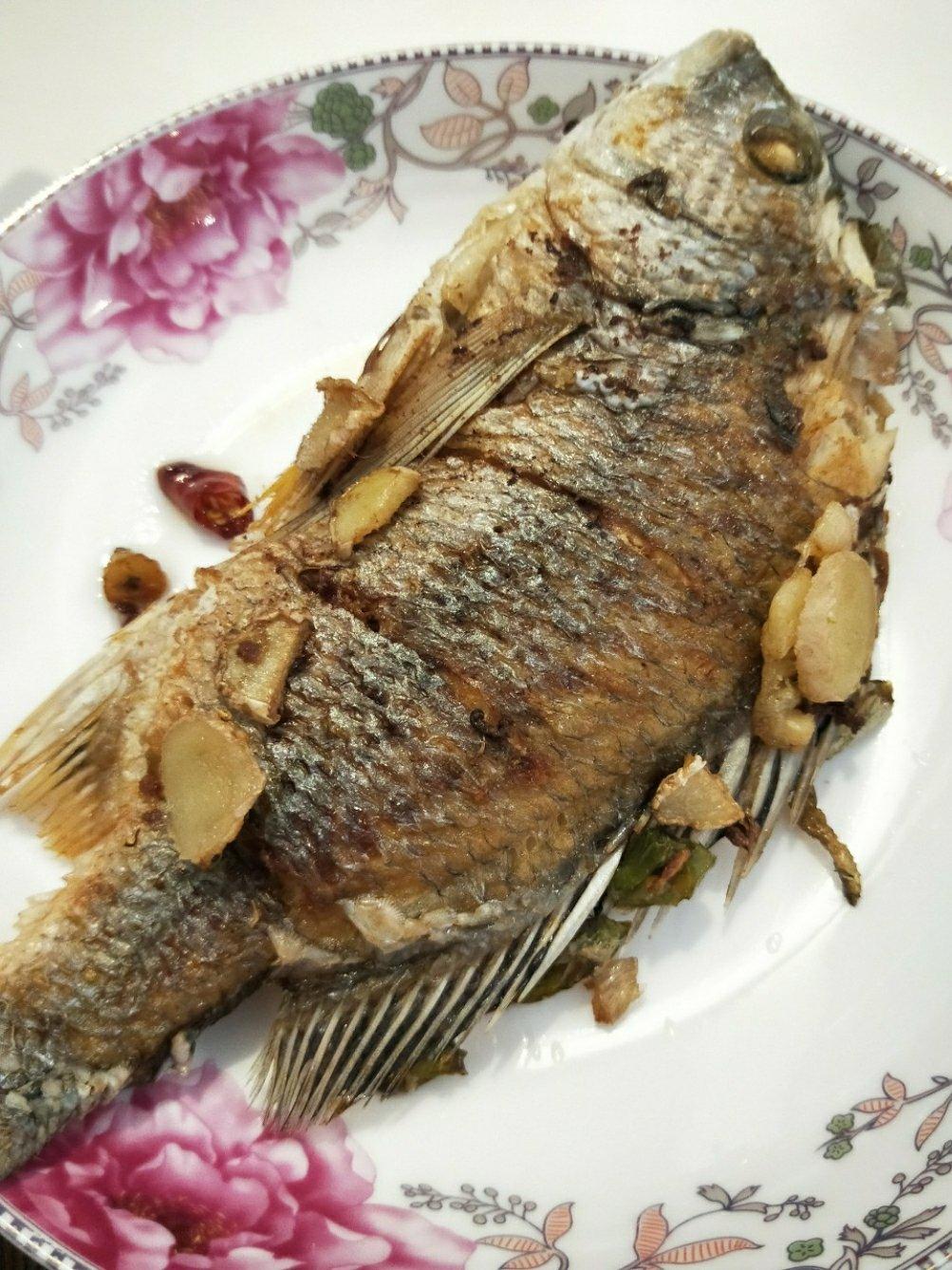 煎鱼🐠