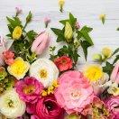 磊哥哥的小媳妇儿