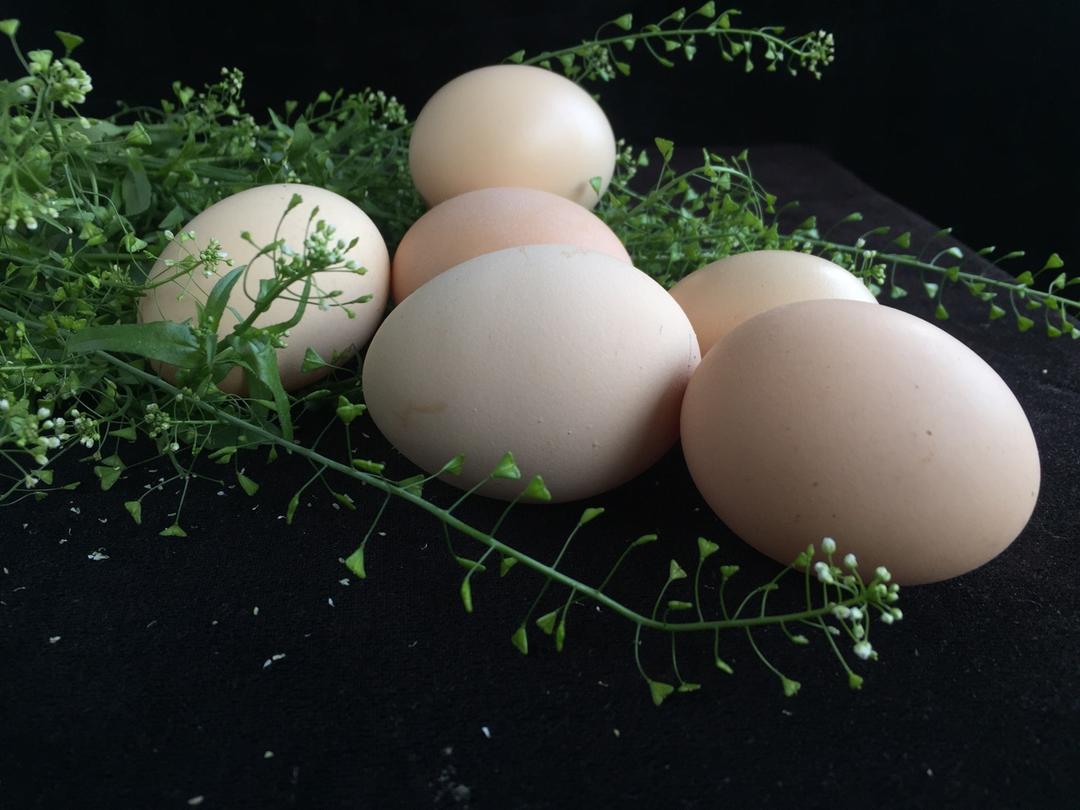 上巳节（农历三月三）荠菜花煮鸡蛋🥚（九岁儿童版）的做法