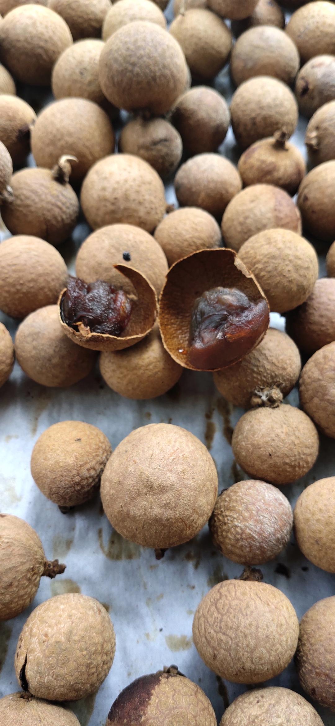 自制龙眼干烤箱版的全部作品