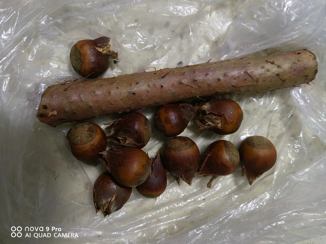 落胃蒸蔬菜【9月北鼎蒸煮炖食谱】