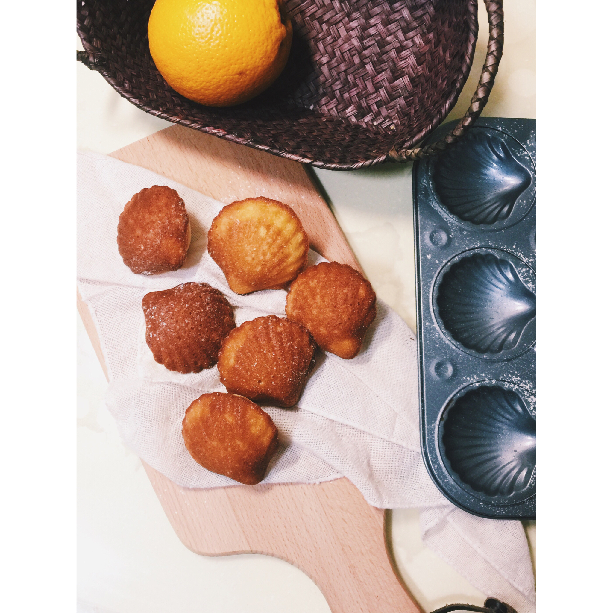 玛德琳（蓝带方）