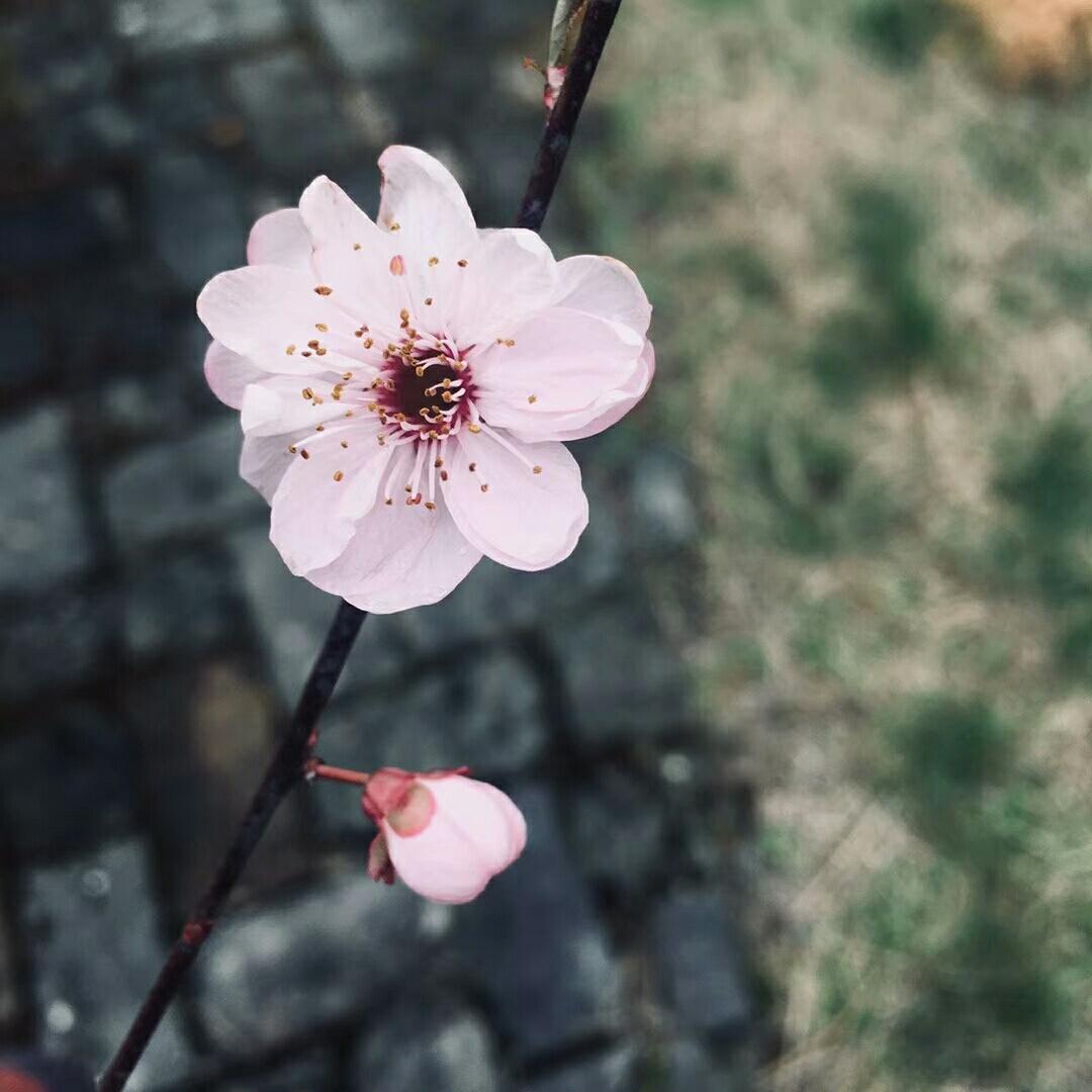 阳光主妇的美丽生活