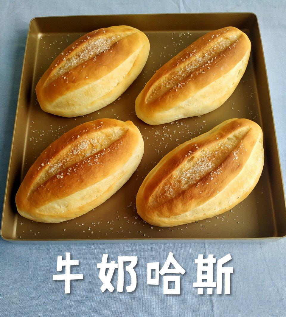 牛奶哈斯