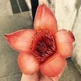 傻熊一家