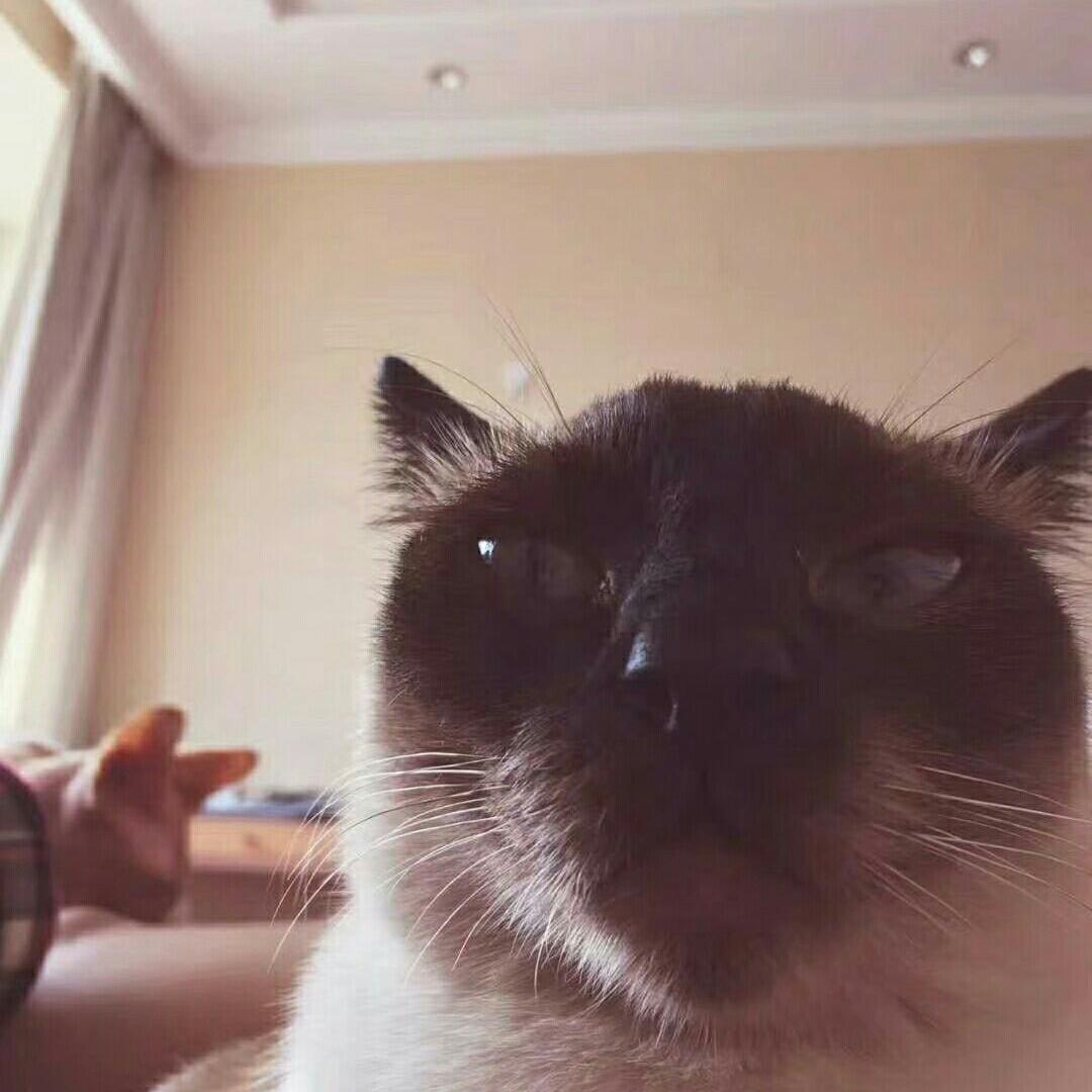 酒泡