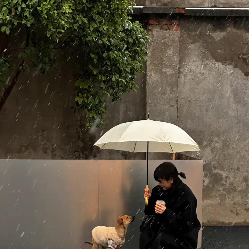 烹饪路上的橙子的厨房