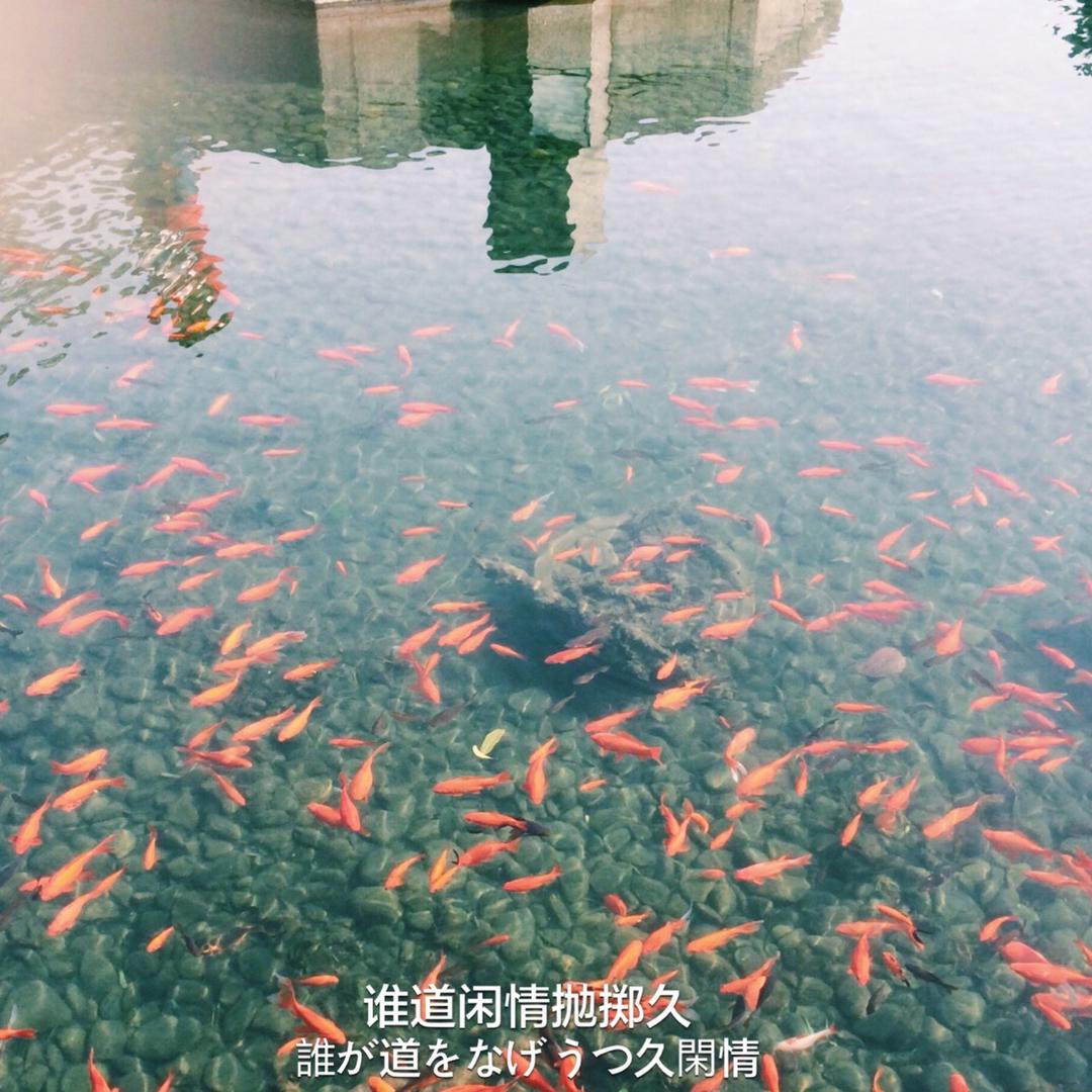 亲于