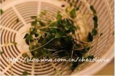 清爽排毒菌类蔬菜沙拉的做法 步骤2