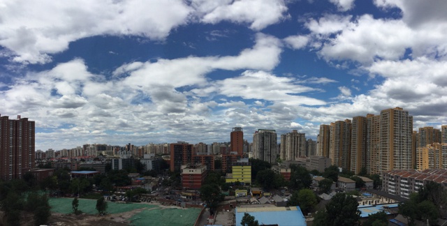 坚果丁丁