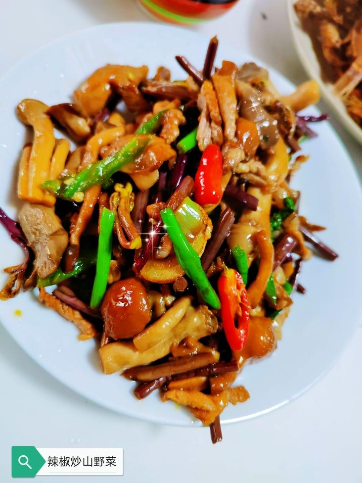 〈肉丝炒什锦山菜〉，欣小厨 😉