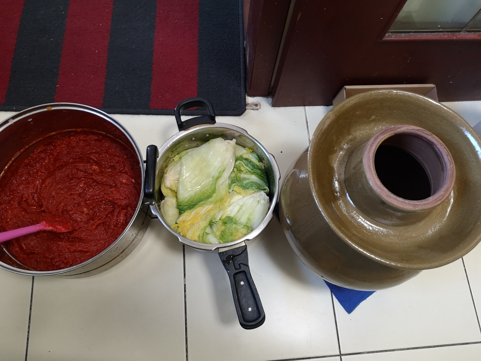 冬天里的一抹红-韩式辣白菜的做法 步骤18