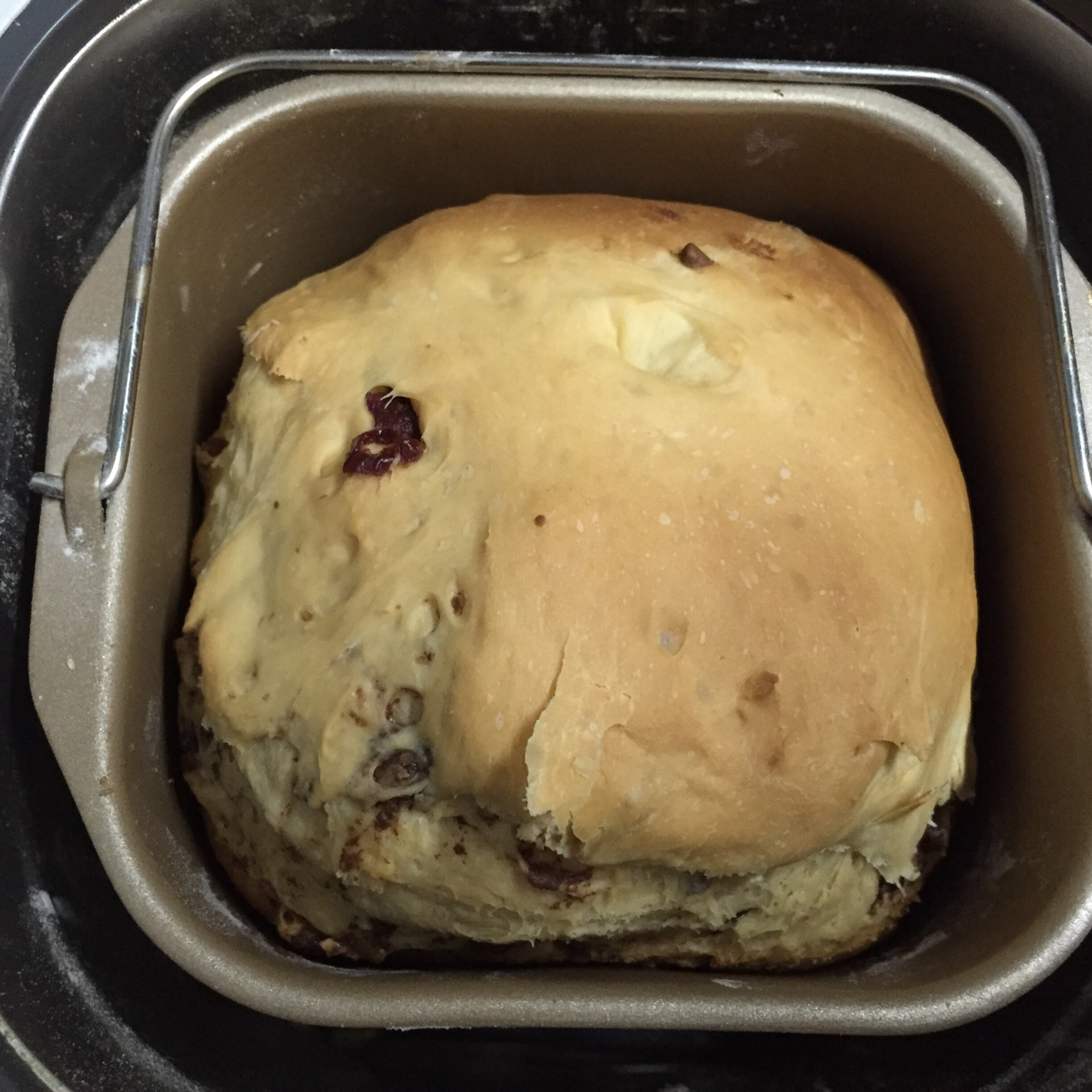 面包机版提子奶酪吐司