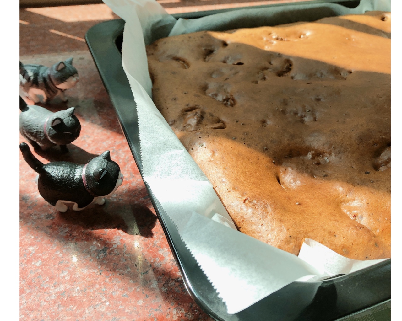红枣糕（自留配方）附无油全麦版的做法 步骤9