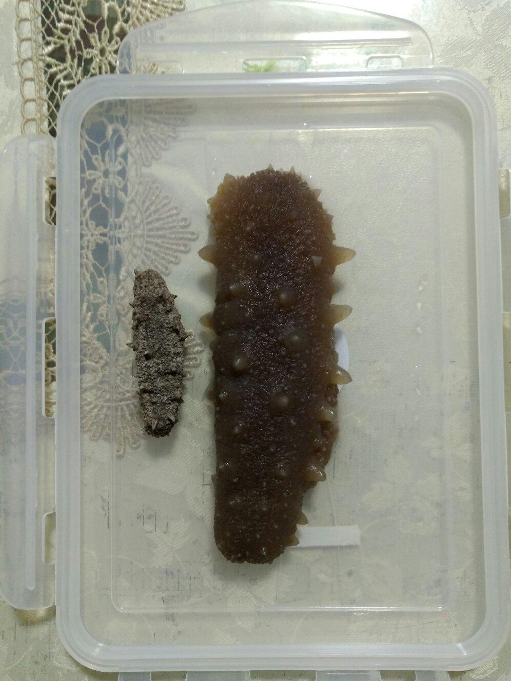 史上最方便、最节能的【私房海参发制法】