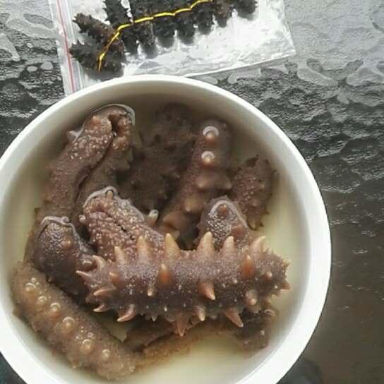 海参泡发攻略