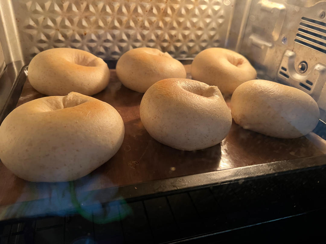 全麦贝果🥯