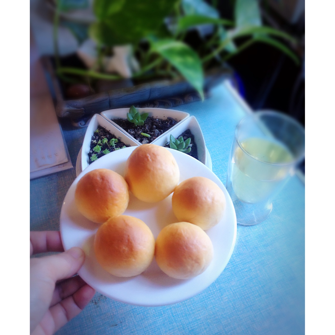 淡奶小面包