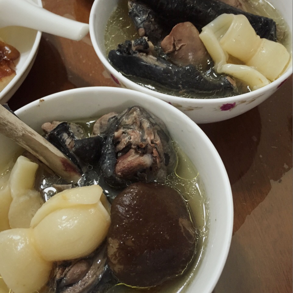 ✨花胶乌鸡汤✨