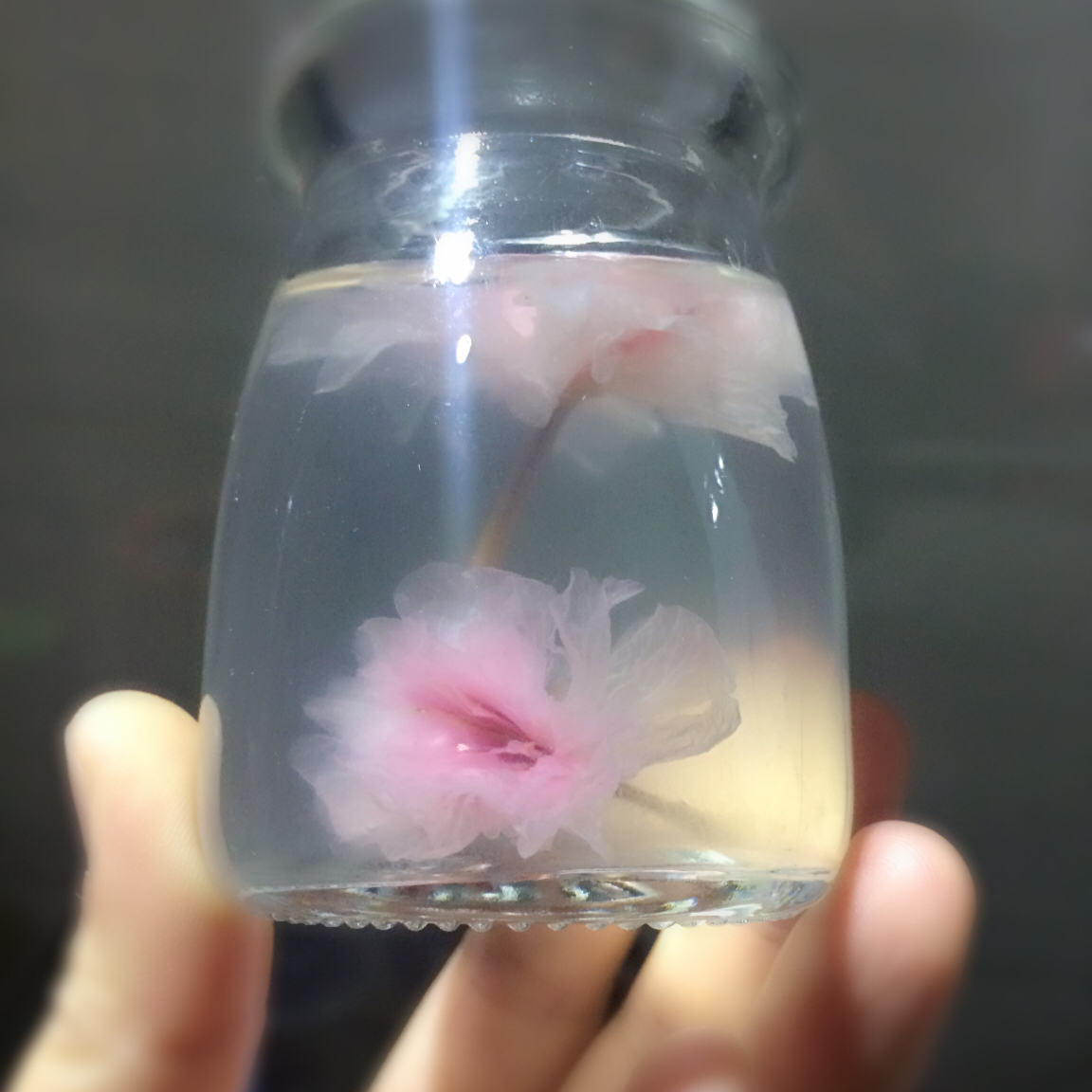 樱花水信玄饼