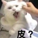 蜡笔小新大战猪猪侠