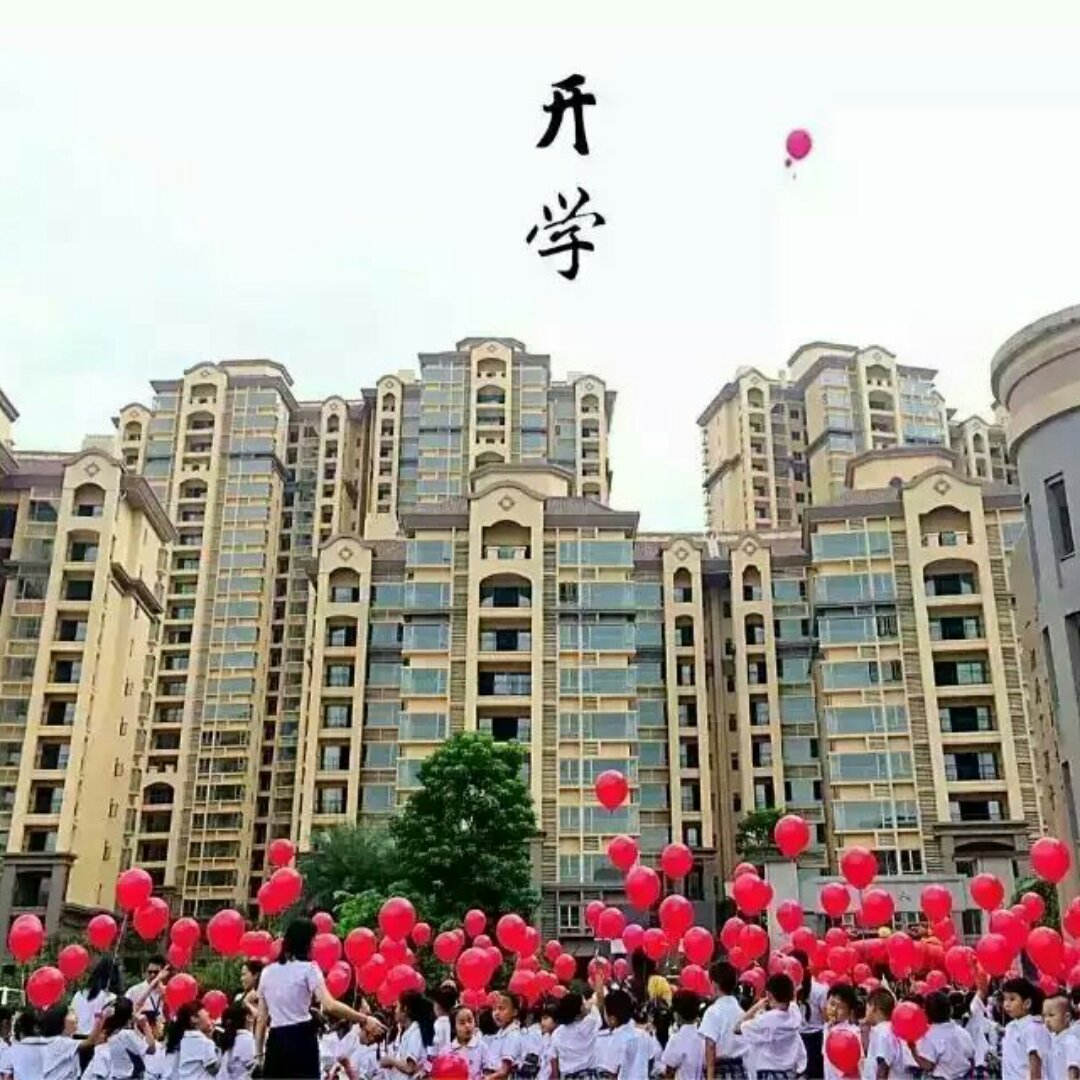 林烘培