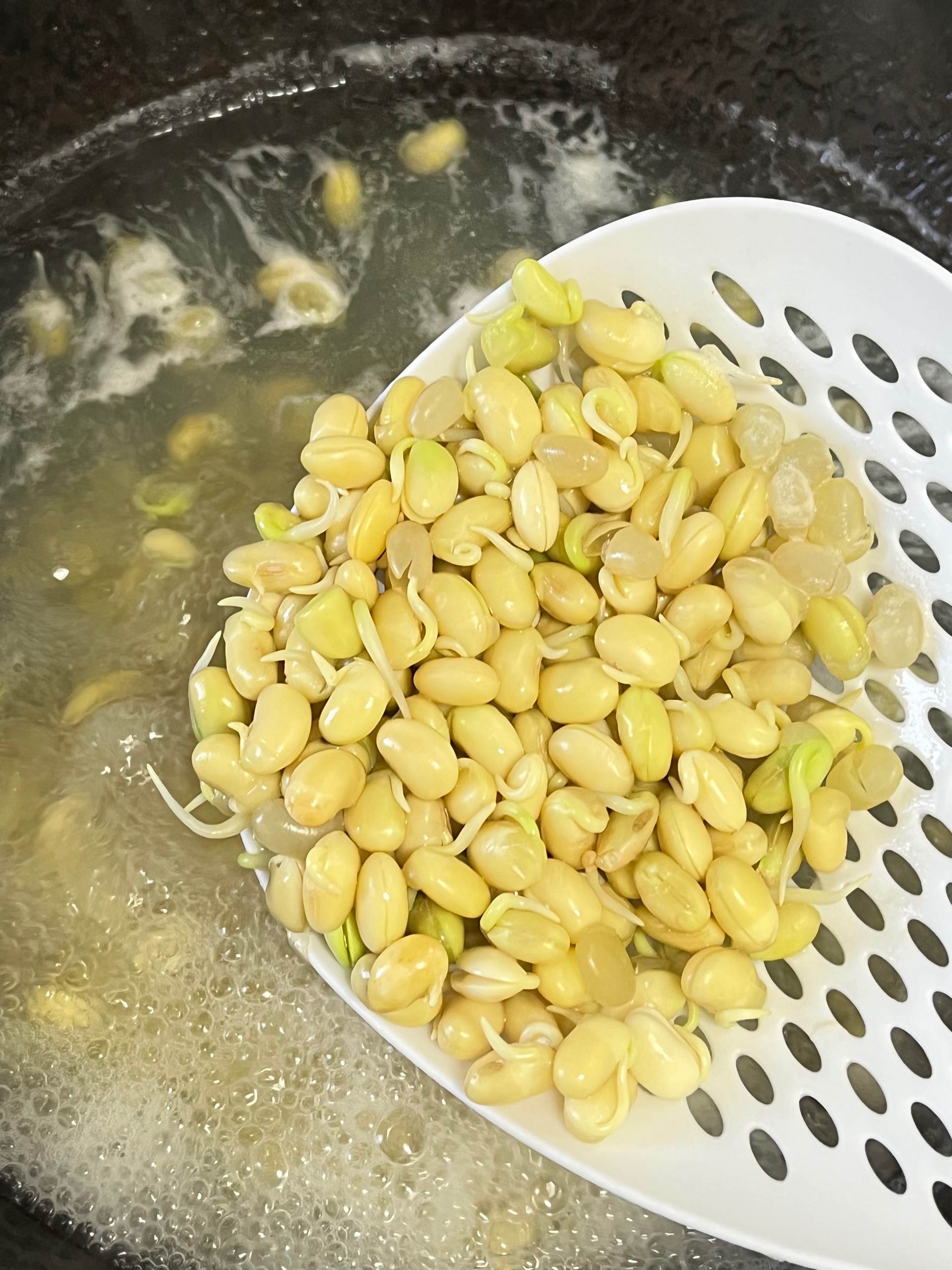 炒黄豆芽（自己发的黄豆芽）的做法 步骤4