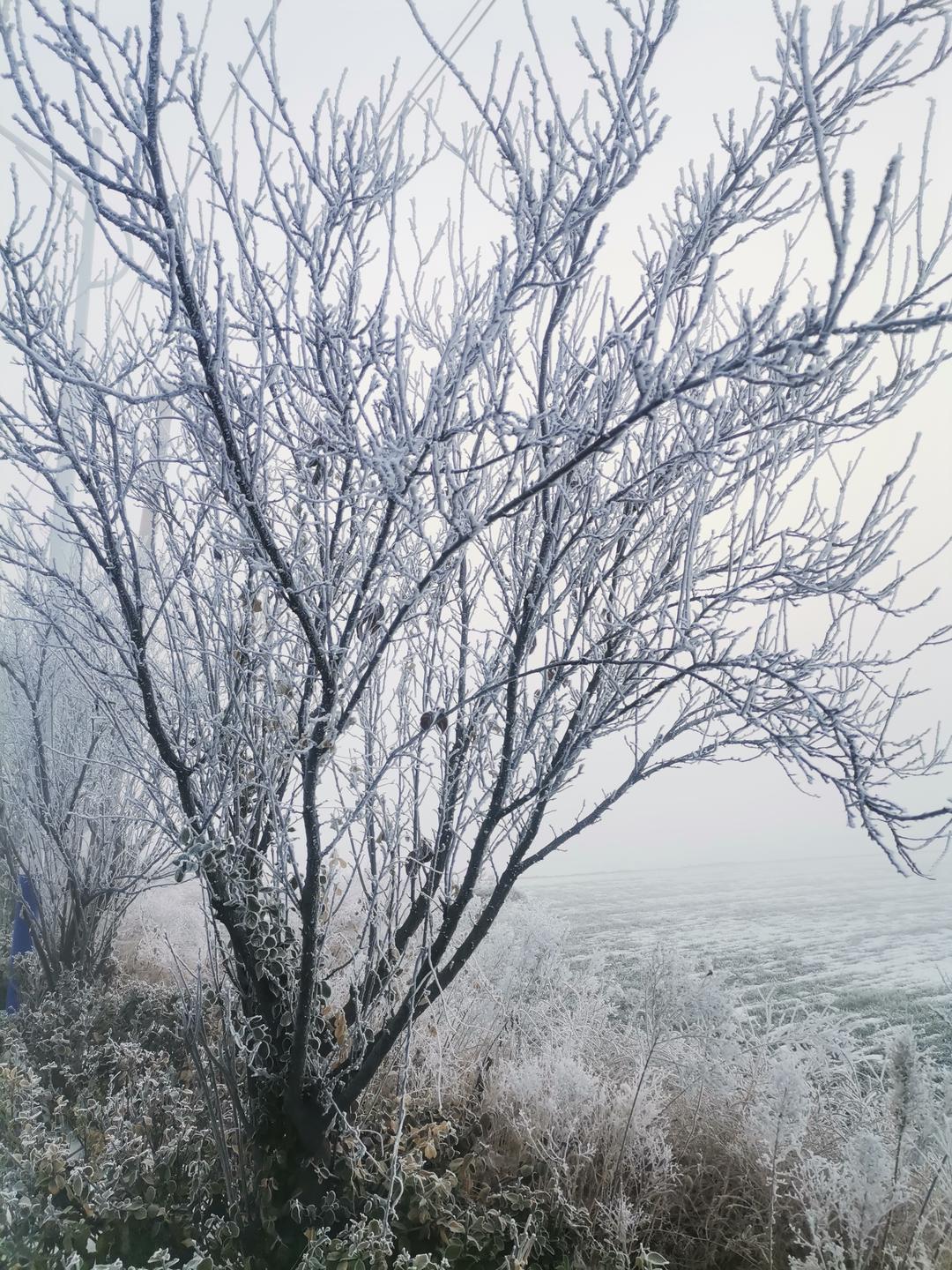 下厨房用户_yq8i