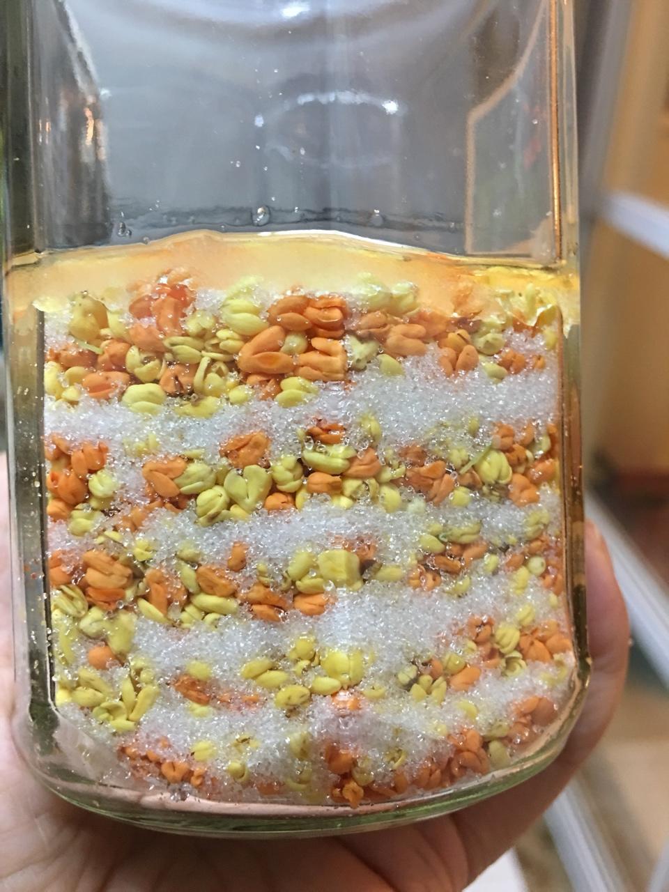 糖桂花
