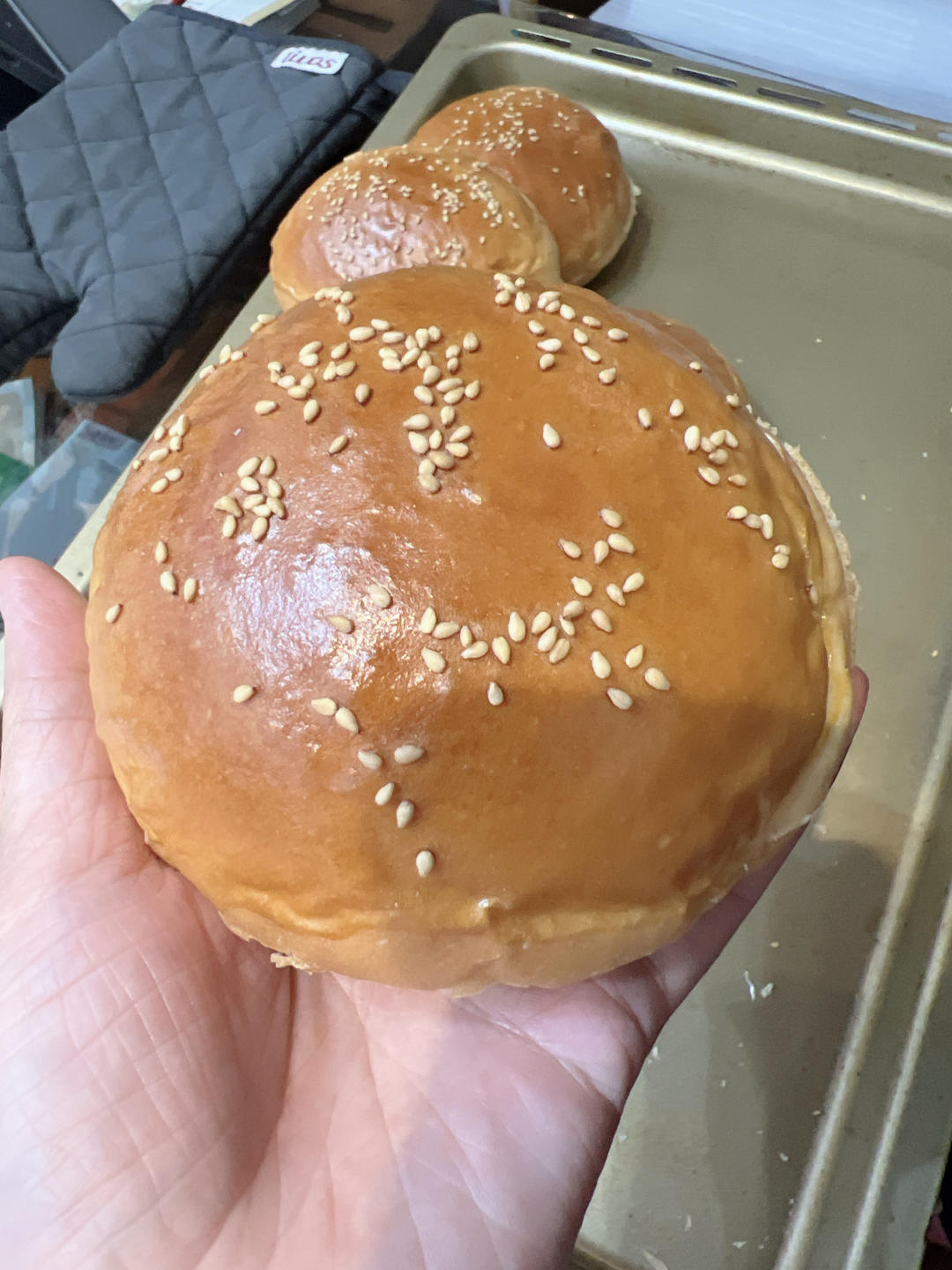 基础牛奶小餐包/汉堡胚/吐司（一次发酵，极简原料）