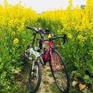 手机用户2677_zkj7