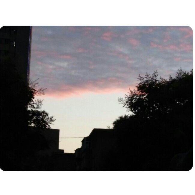 在  路上