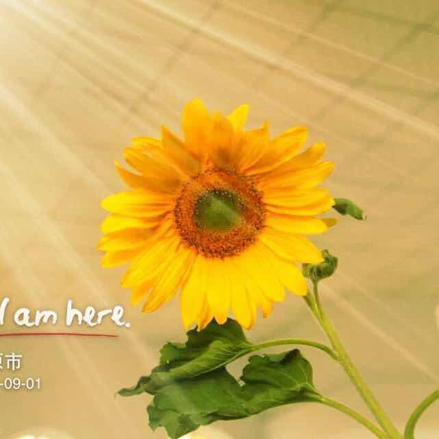 手机用户1397_n6t0