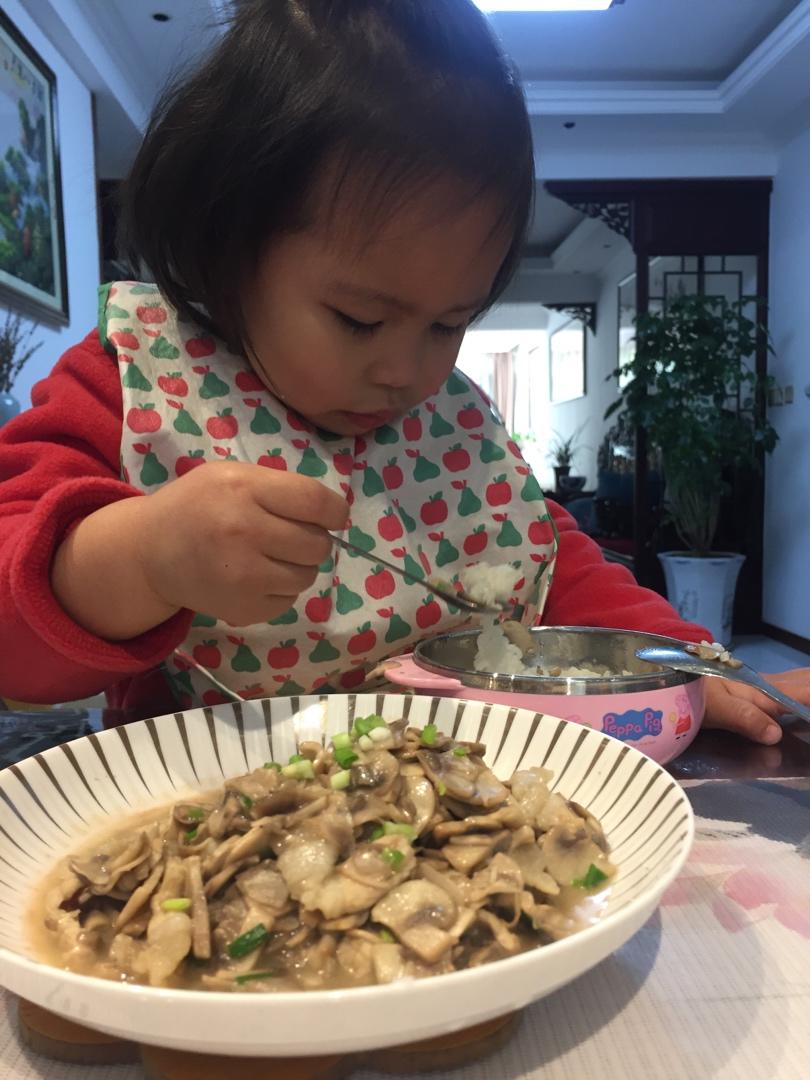 小饭团辅食专属