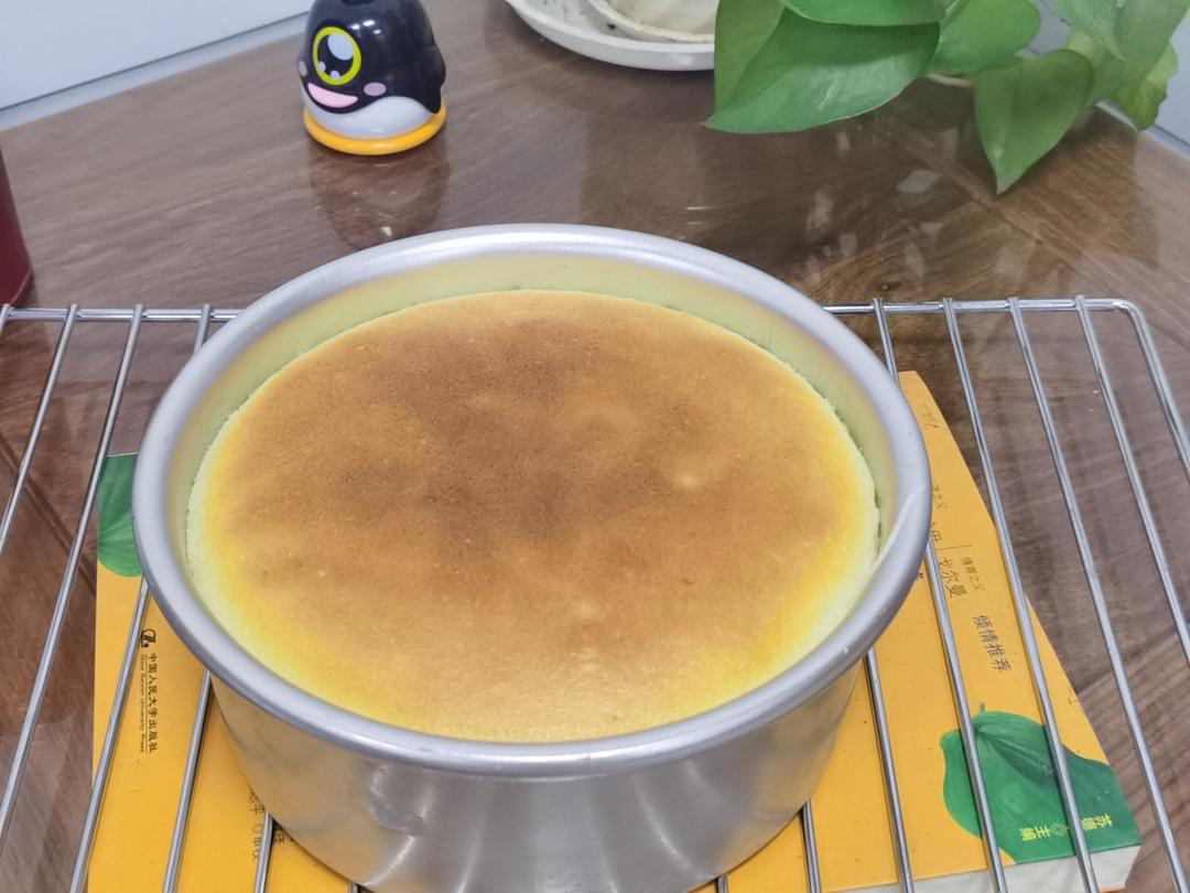 酸奶蛋糕|不加一滴水，松软水润