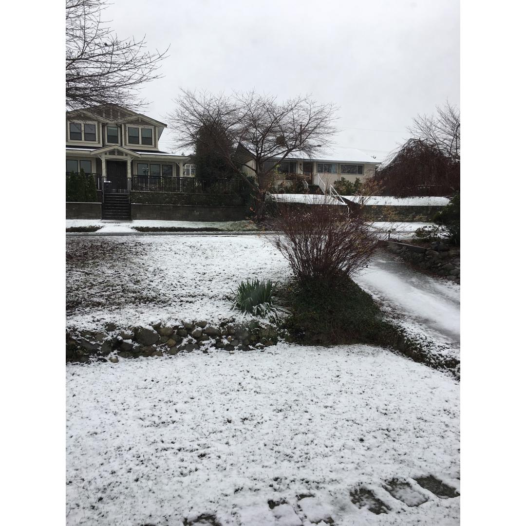 全世界都在下雪