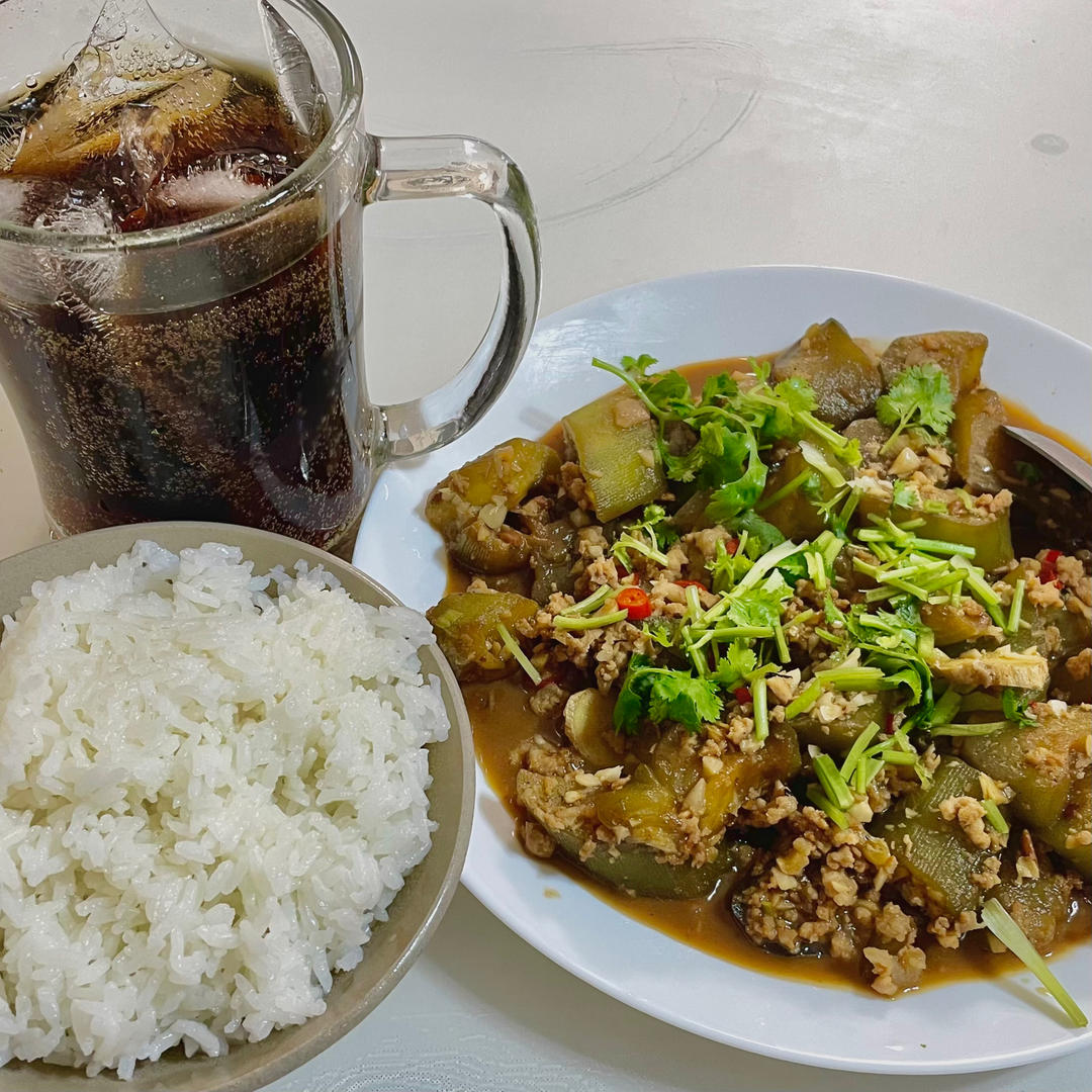 茄子！茄子！！红烧肉末茄子