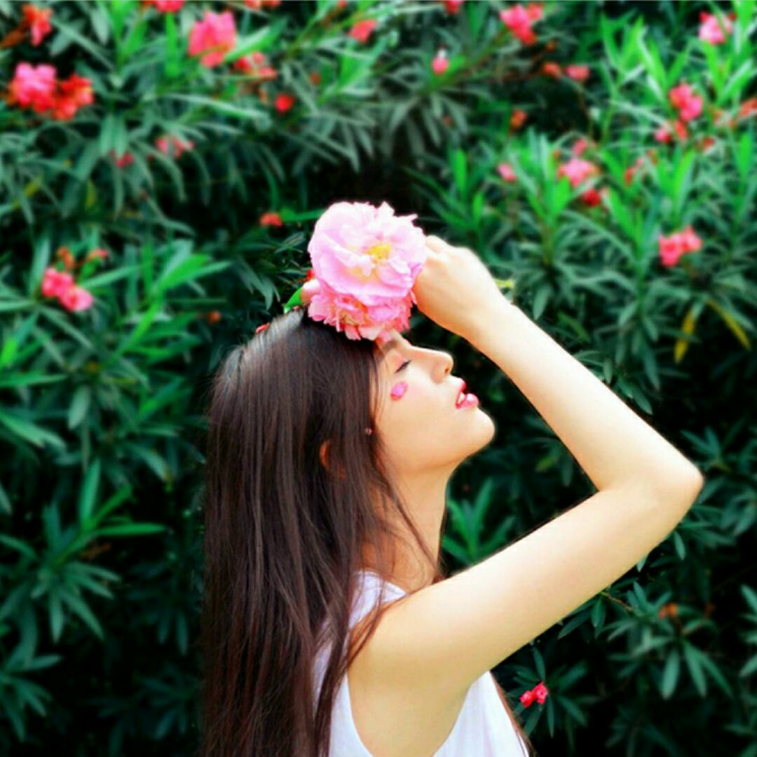 爱上烘焙的夏沫