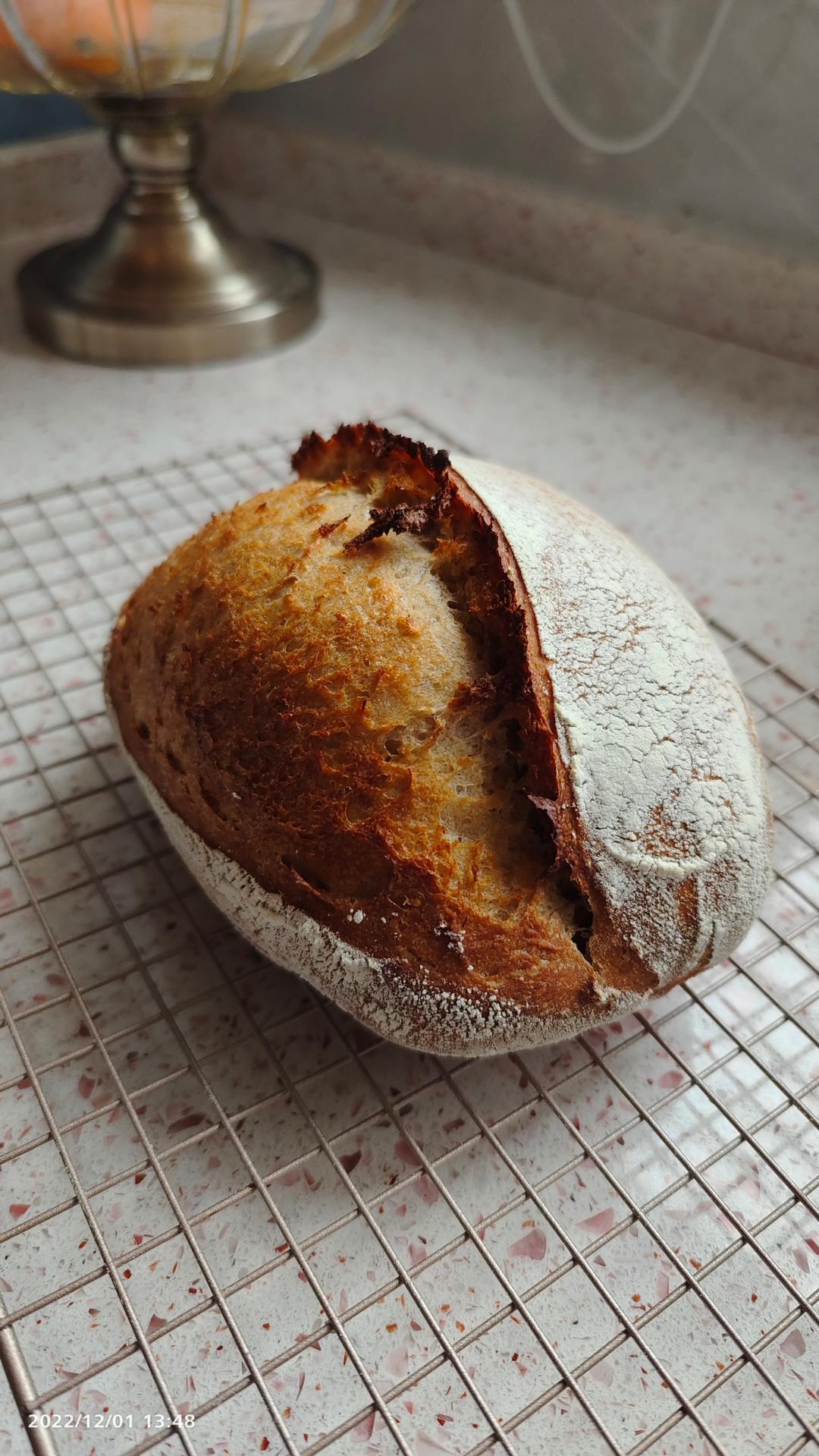 天然酵种鲁邦种硬欧包Sourdough Bread