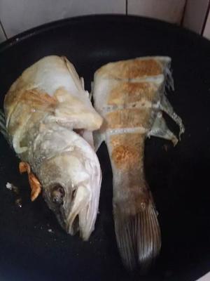 红烧海鲈鱼的做法 步骤3