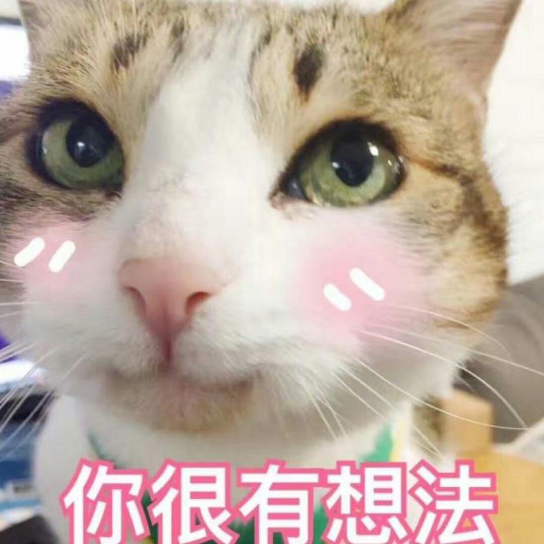 puddy