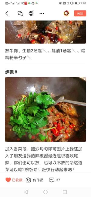 香菜炒牛肉（丝）的做法 步骤5