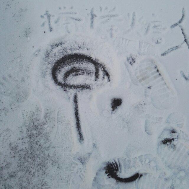 皮子2