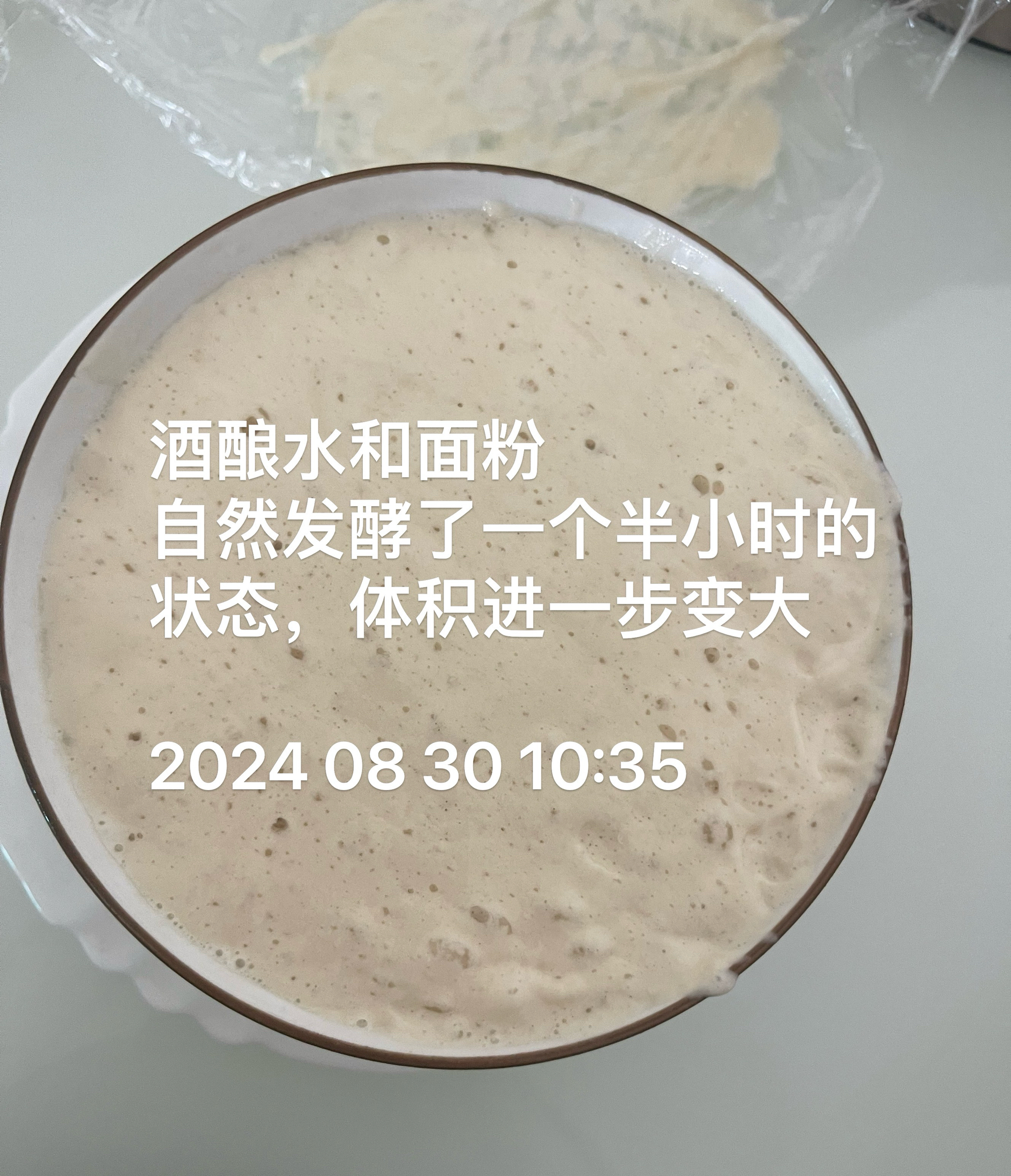 酒酿老面的做法 步骤5