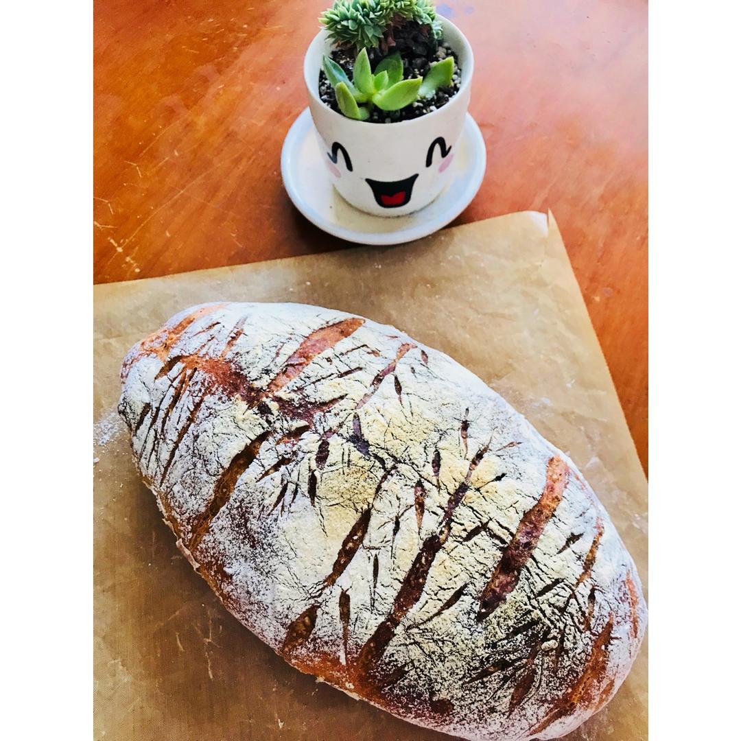 面包 吐司的成与败