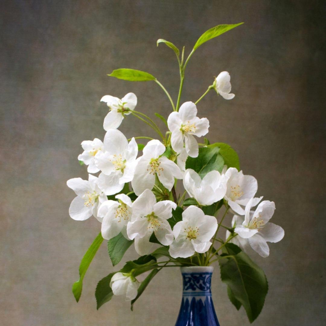 手机用户8833_rvzk